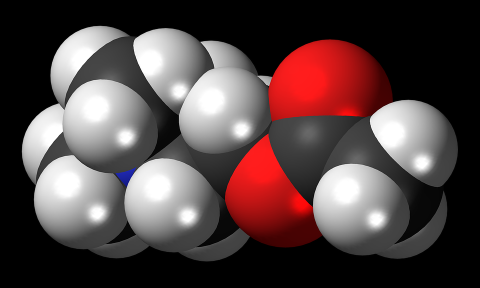 A molecular model of acetylcholine